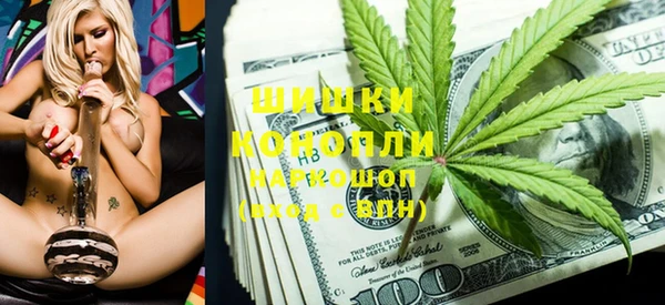 гидропоника Алзамай